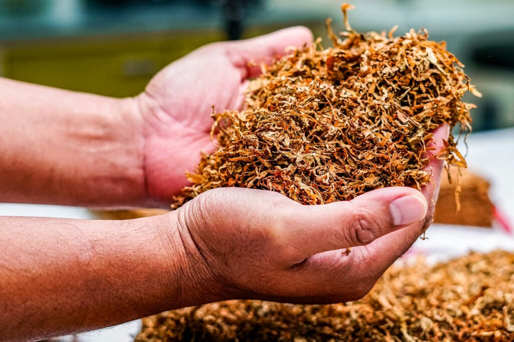 tobacco origin