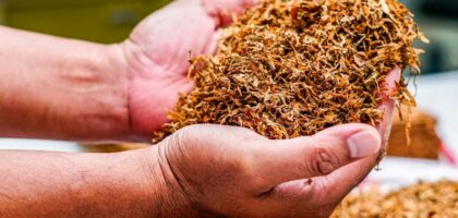 tobacco origin
